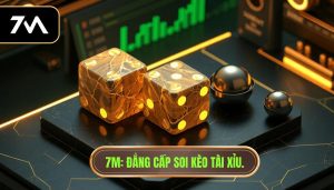 Cách bắt kèo tài xỉu